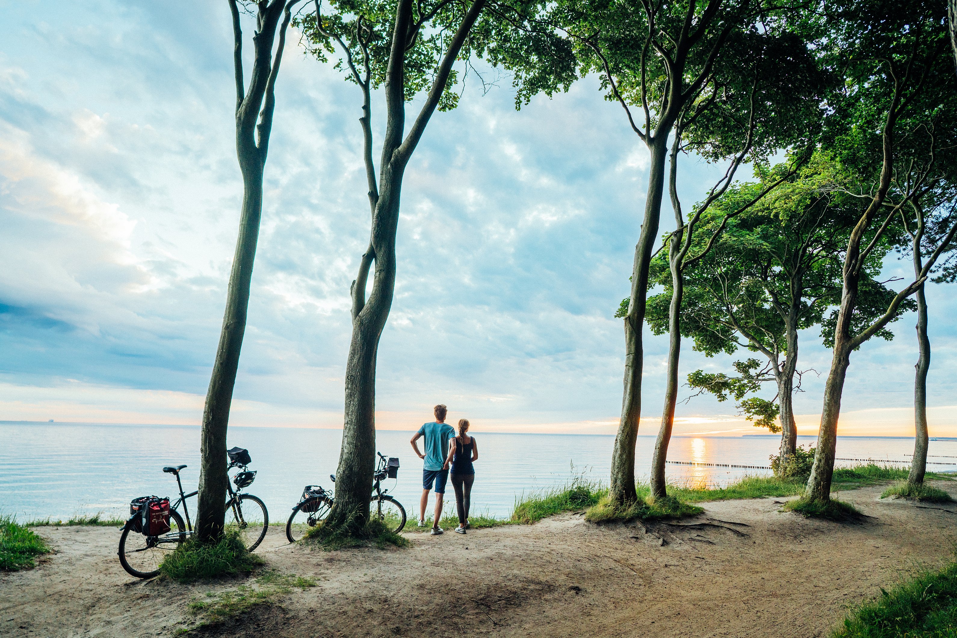 Das Bild wurde im Gespensterwald an der Ostsee aufgenommen. Im Bild steht ein Paar an der Küste zwischen Bäumen und blickt auf die Ostsee. Neben ihnen, am Baum angelehnt, stehen ihre Fahrräder